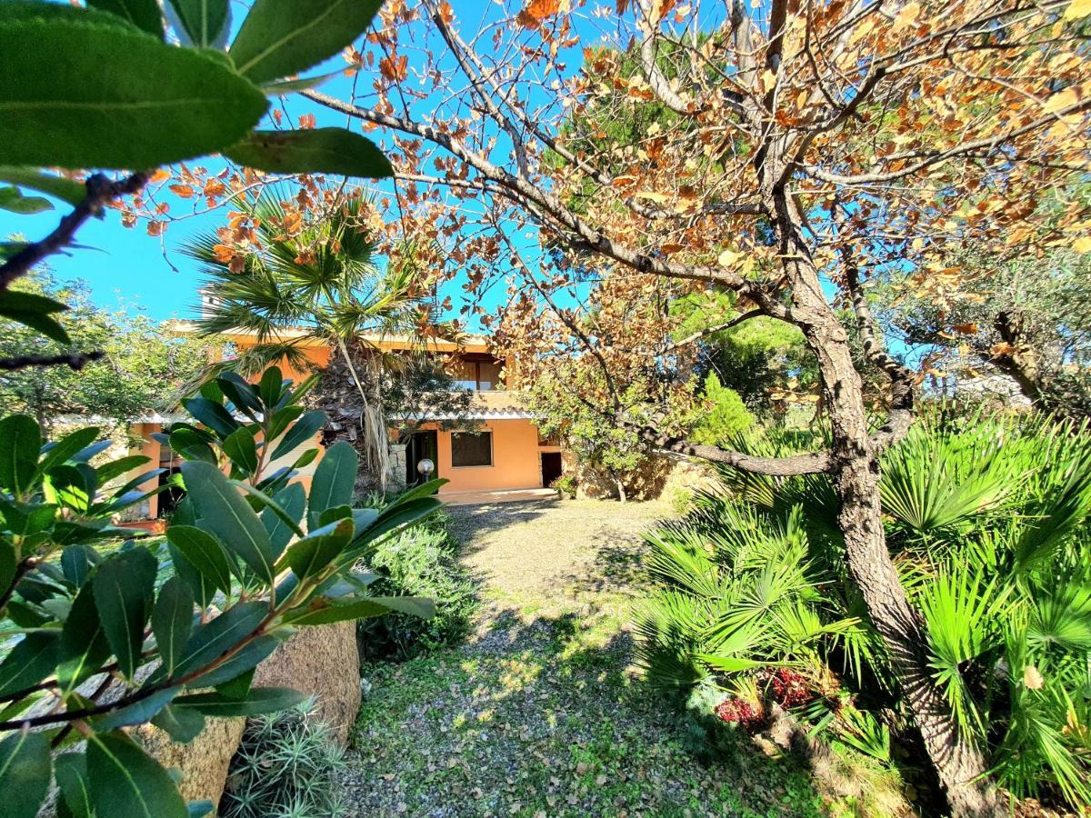 Villa Alice Apartments 奥罗塞伊 外观 照片